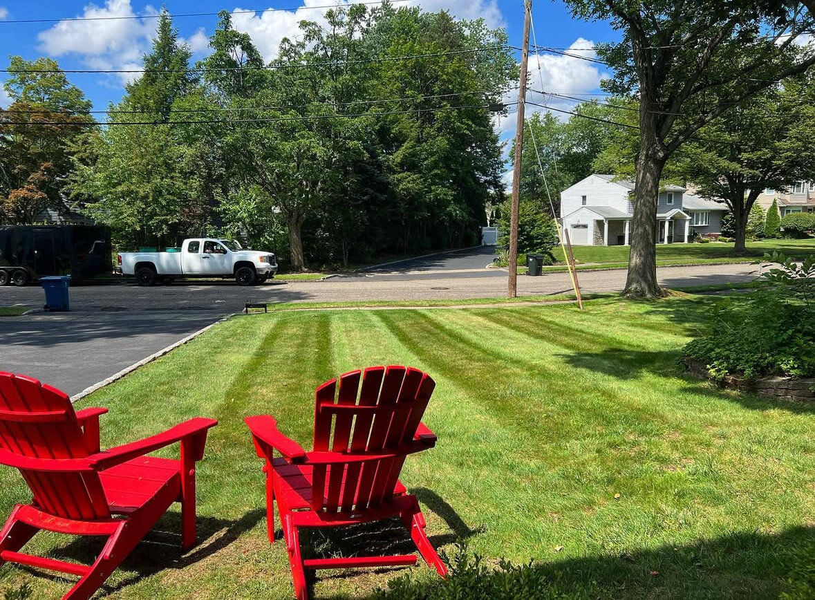 Lawn Care & Maintenance