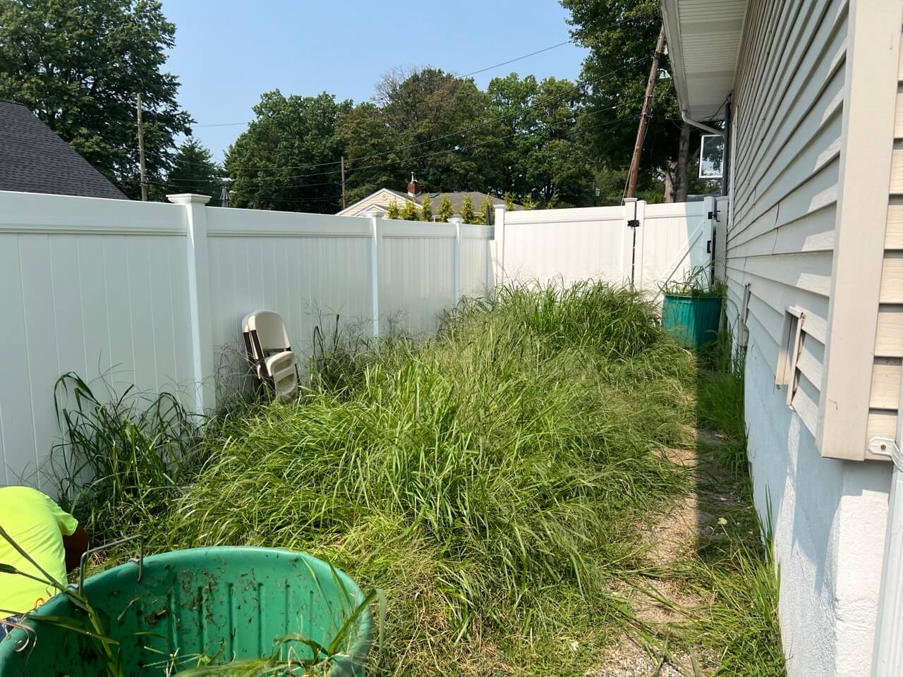 Weed Removal Before