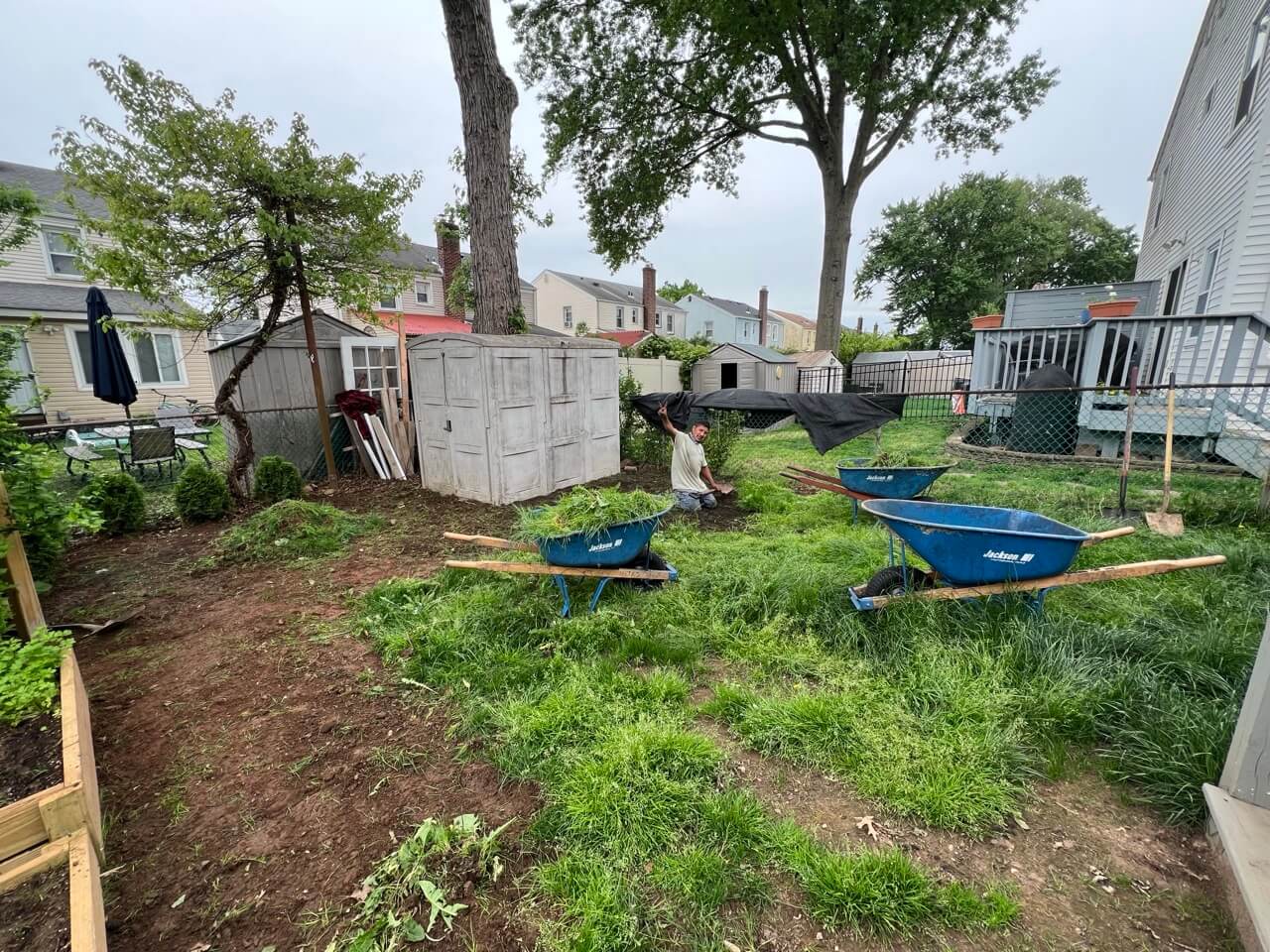 Yard Recovery Before